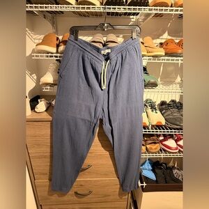 Zara Men's Navy Joggers